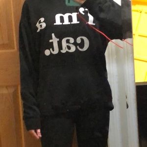 im a cat hoodie
